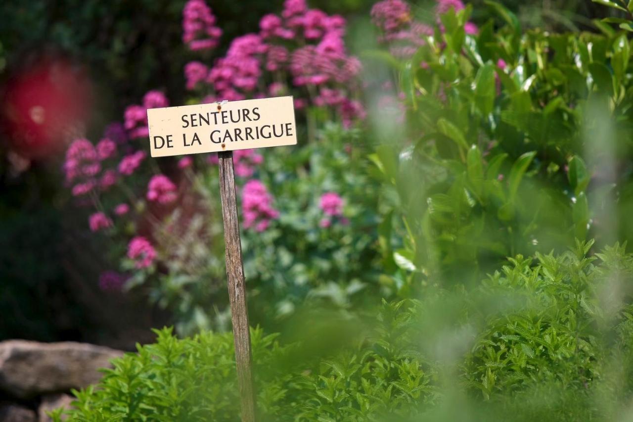 Maison De Village La Clemaline Figanières エクステリア 写真
